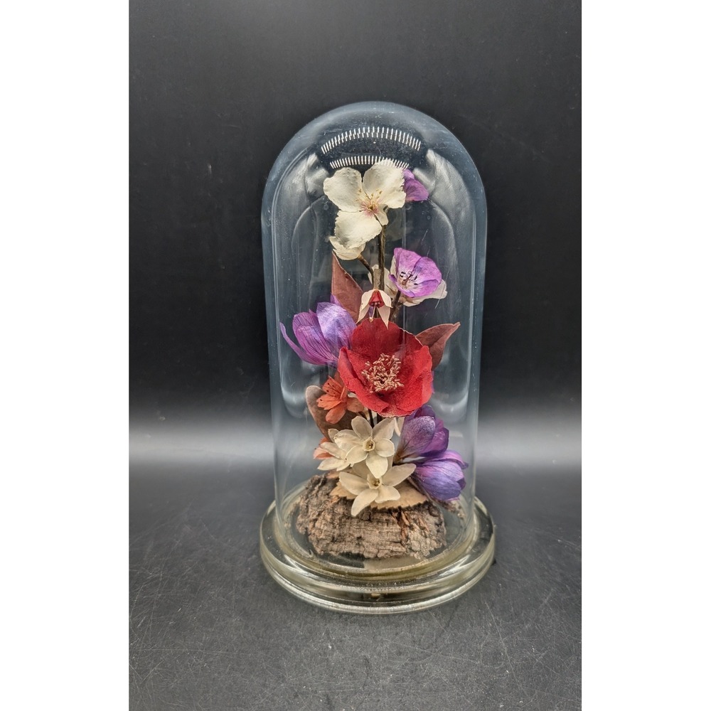 Vintage Michael R Curzon Preserved Flowers Glass Cloche Dome Made in England 9"